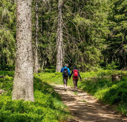 Zu den Aktivitäten im Schwarzwald