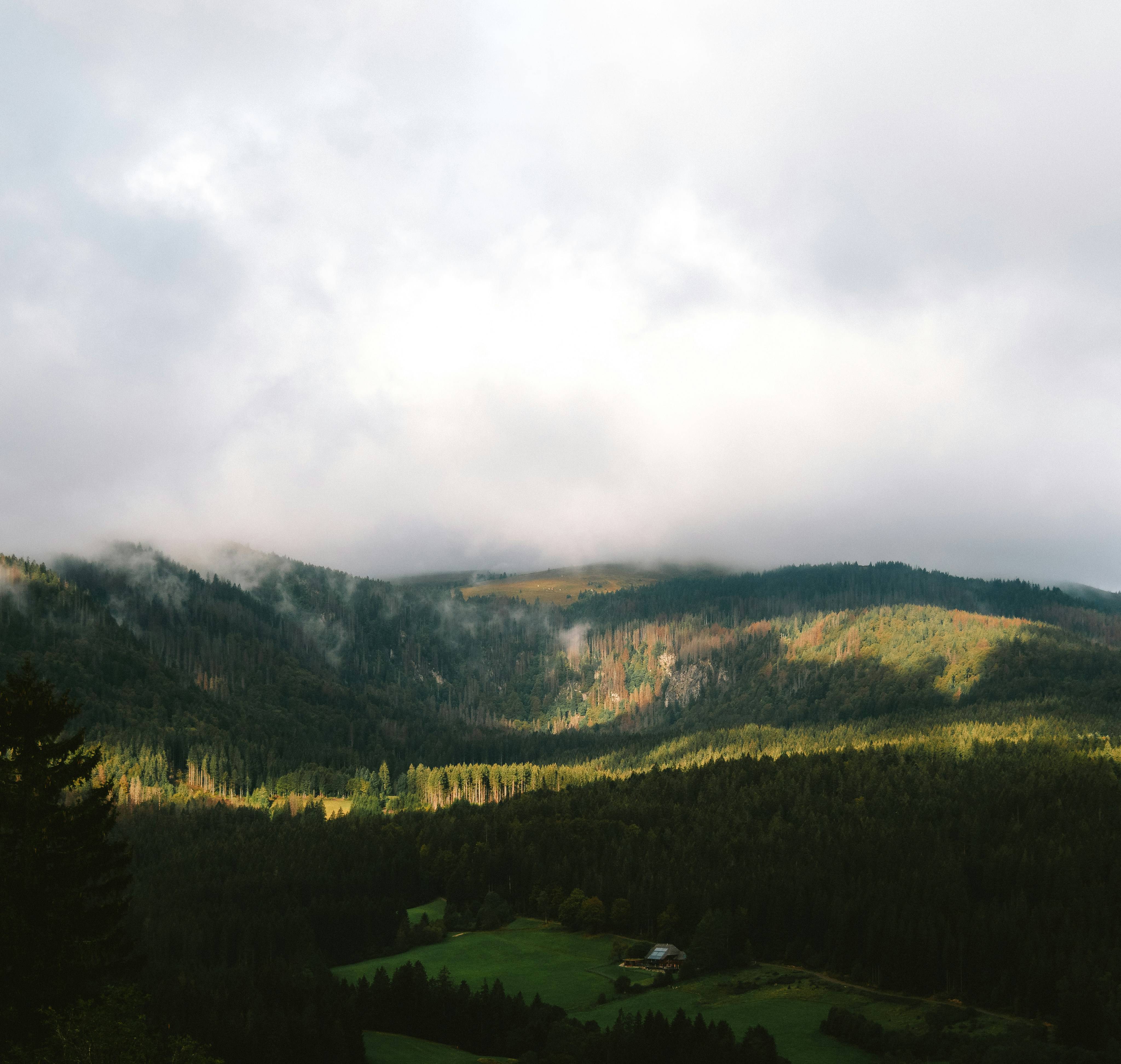 Blick auf den Schwarzwald