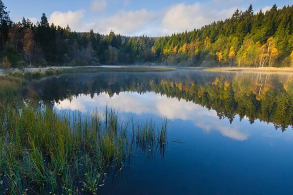 Der Feldsee am Feldberg