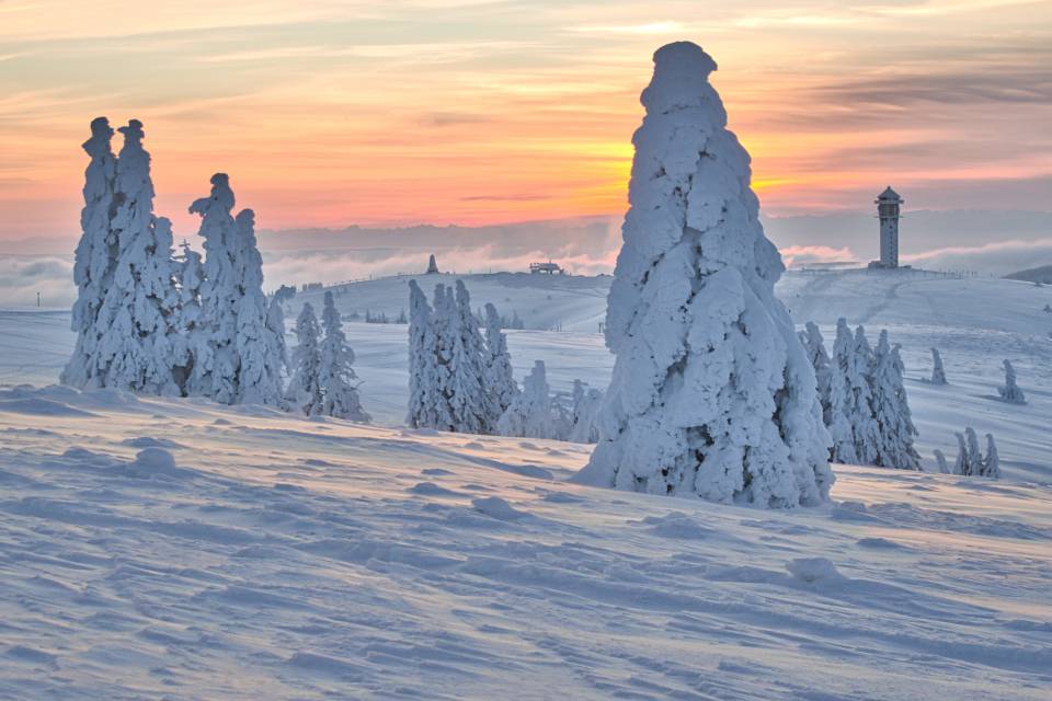 Verschneite Landschaft auf dem Feldberg mit dem Turm im Hintergrund