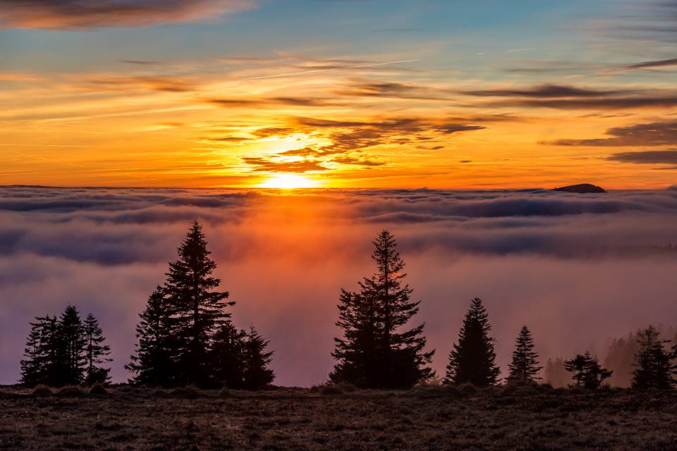 Sonnenaufgang mit Nebel am Feldberg