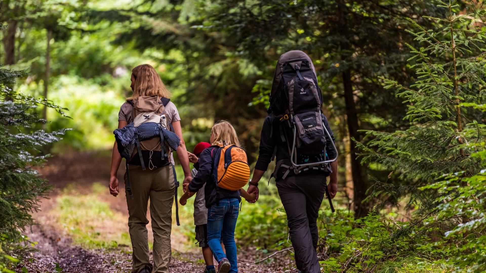Familie wandert im Wald am Feldberg