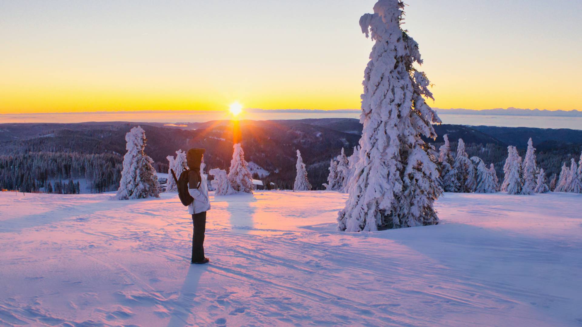 Wanderin steht im Schnee auf dem Felberg und betrachtet den Sonnenuntergang