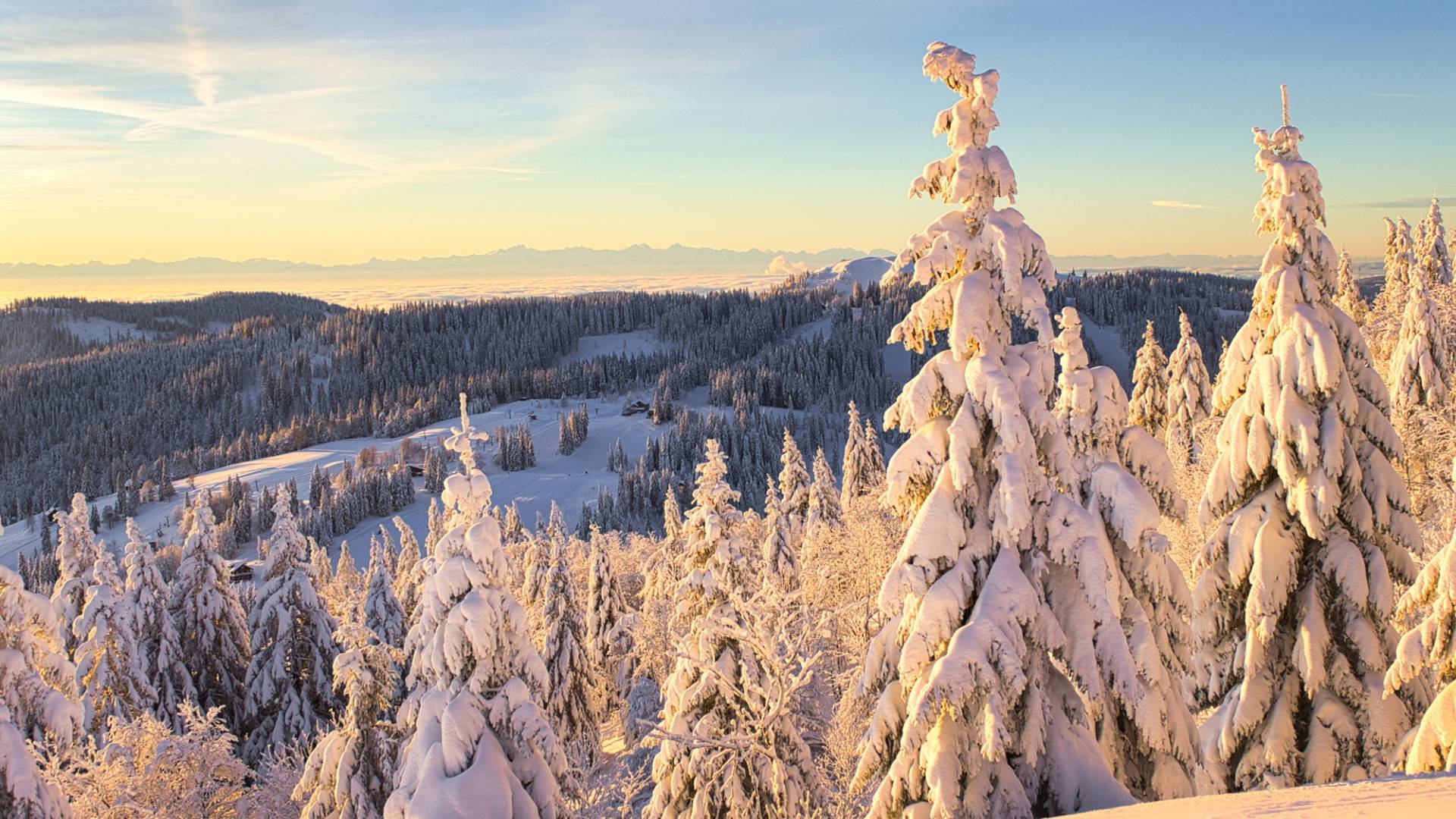 Verschneite Landschaft auf dem Feldberg