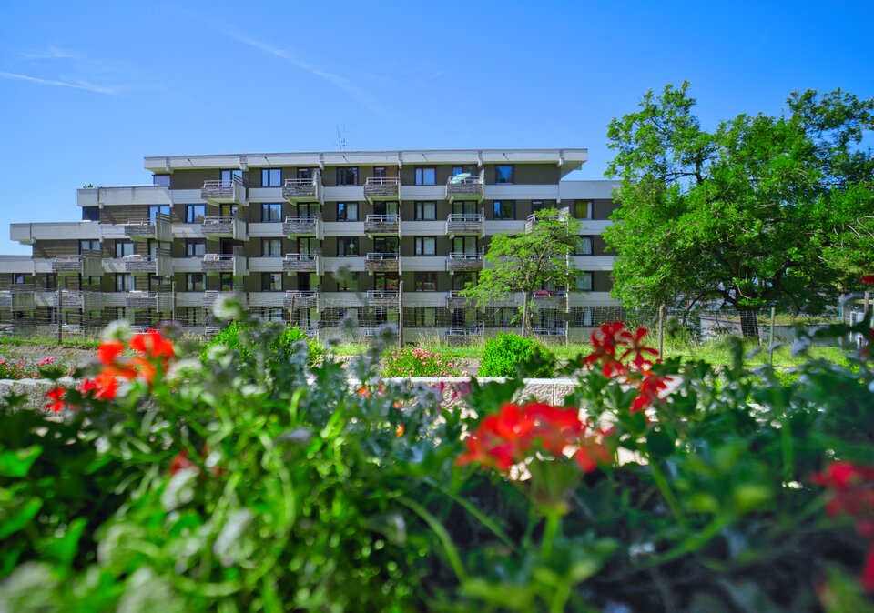 Ferienwohnungen Feldberg im Sommer
