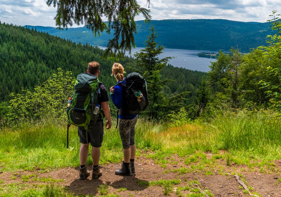 Ferienwohnungen Feldberg im Sommer