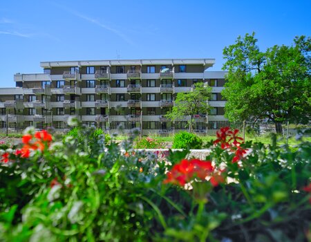 Ferienwohnungen Feldberg im Sommer