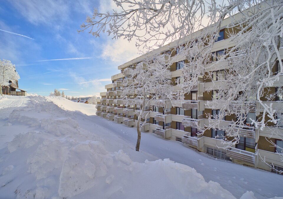 Ferienwohnungen Feldberg im Sommer