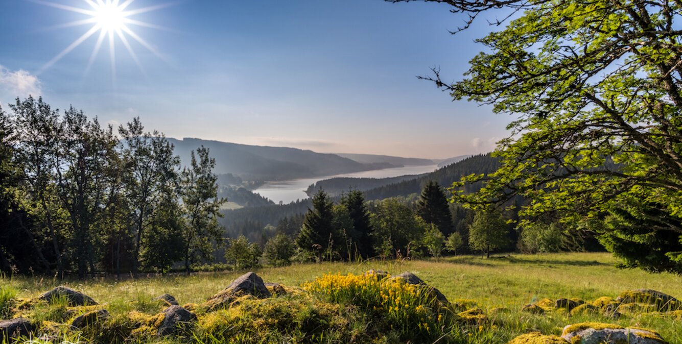 Feldberg im Sommer