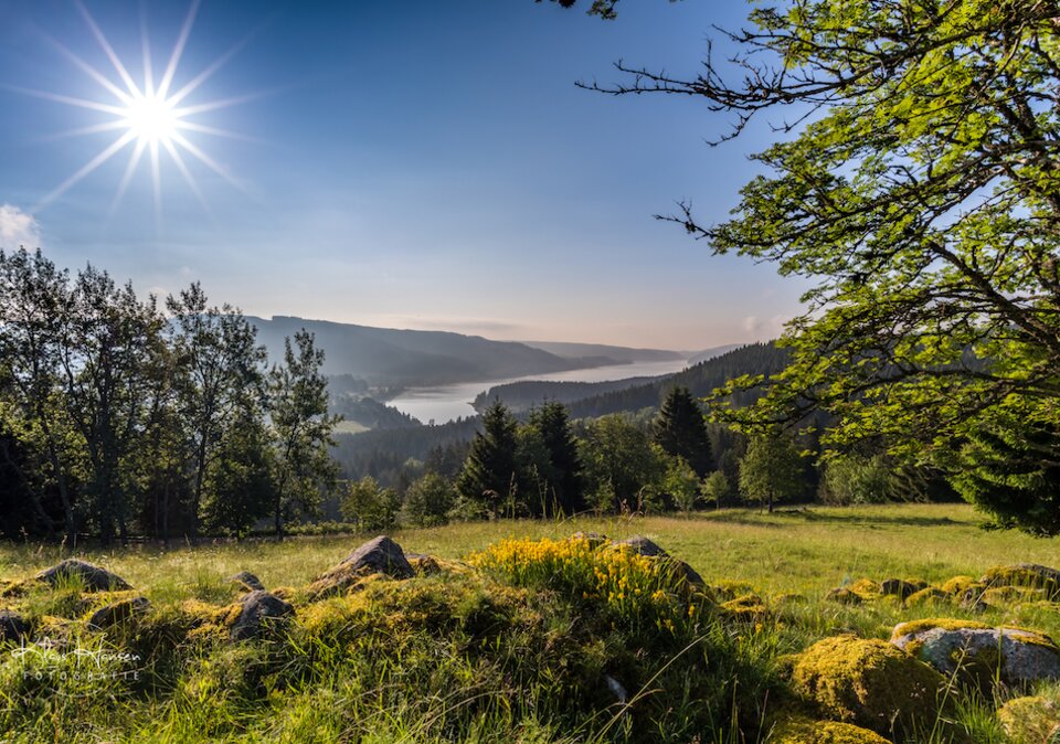 Feldberg Umgebung im Sommer