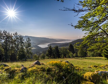 Feldberg Umgebung im Sommer